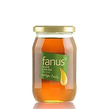 Fanus Çam Balı 460g